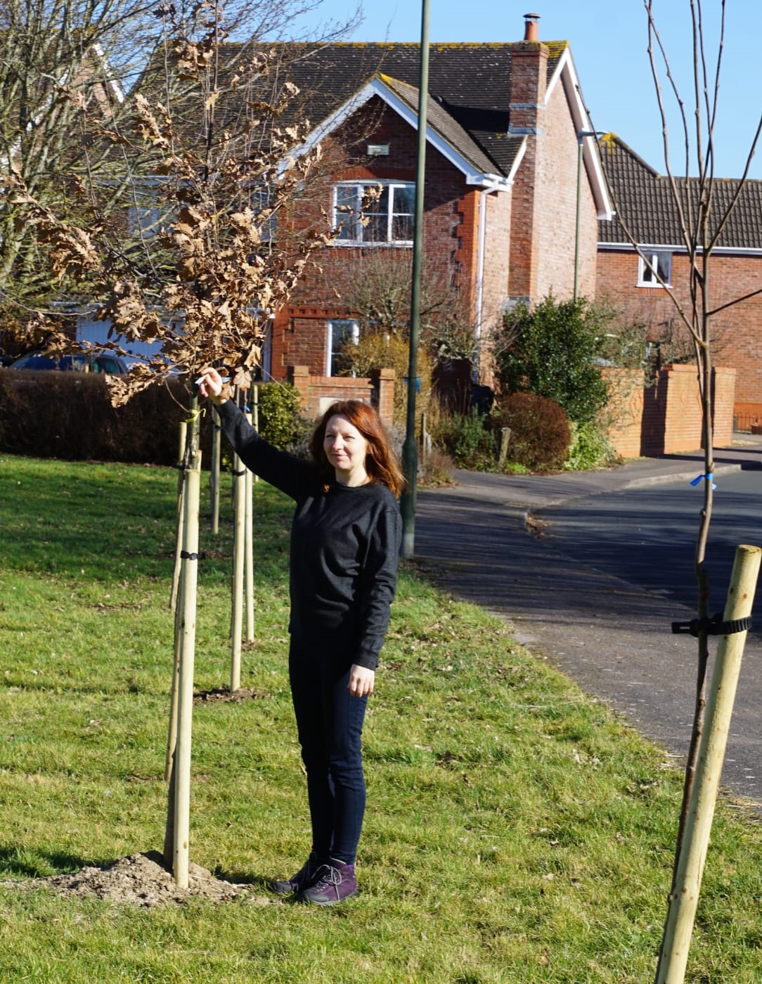 Cate tree planting